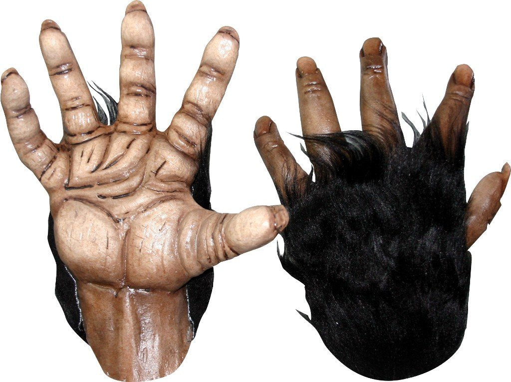 Ghoulish Productions Chimp Brown Hands, Accesorio para Mano de Mono, Complemento de Guantes de Chimpancé para Disfraz de Monkey Ideal para Halloween y Fiesta de Disfraces