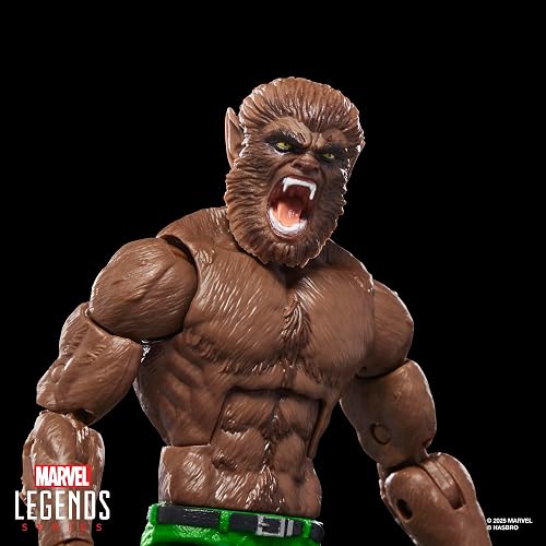 Marvel Legends Werewolf by Night Jack Russell Figura 15 cm | Marvel Legends Figura de acción de 6 pulgadas BAF Verdugo - Hombre lobo de noche