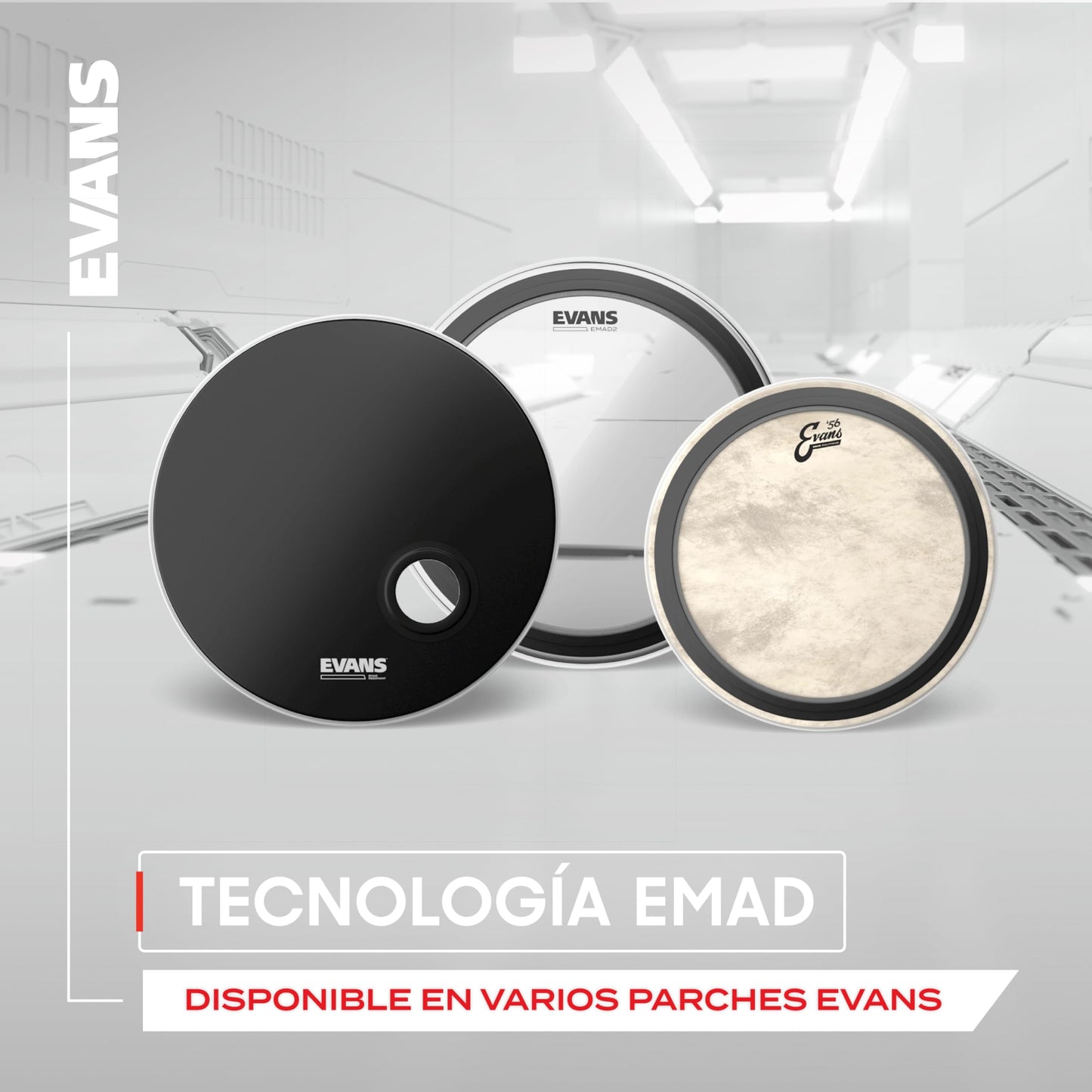 Evans BD22EMAD2 Parche 22"