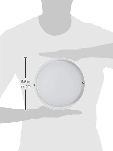 Tecnolite - Lámpara Plafón LED Techo, Ideal Zona Costera 9 W, Luz de Día, IP65, IK08, No atenuable, LED integrado