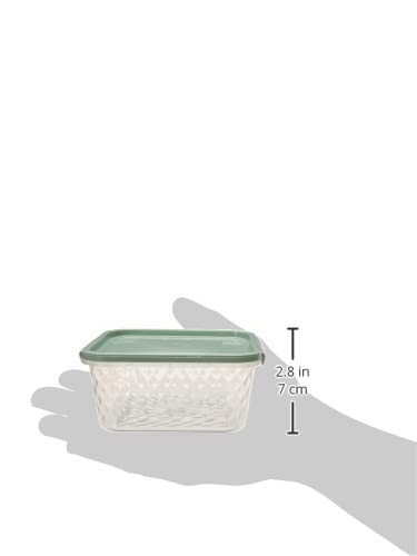Plasvale Contenedor de Plastico
