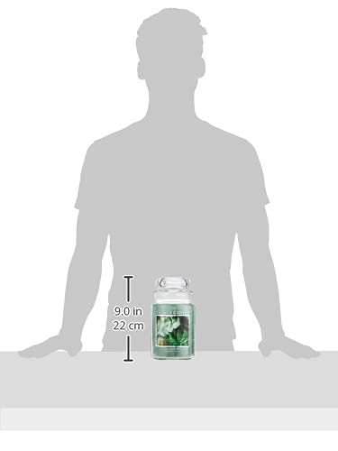 Village Candle Vela aromática en tarro grande de cristal con aroma de menta de eucalipto, 22 onzas, verde