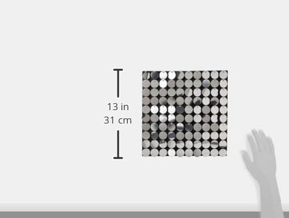 Panel de Lentejuela Color Plata Fantasias Miguel Panel Decorativo Armar Fondo Shimmer Wall Cumpleaños Fotografia XV Años Bodas Graduaciones 30x30 cm Marca Mylin 1 pieza