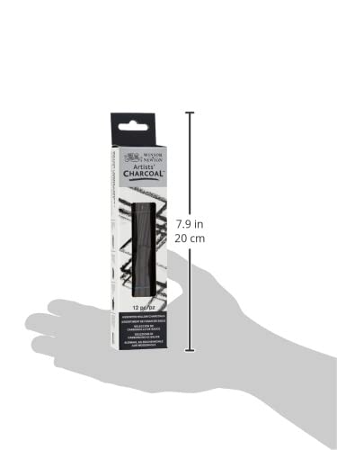 Winsor & Newton Carbón de sauce de artistas, surtido, caja de 12 unidades | Carbón de sauce rico, intensidad constante, cuidadosamente horneado, crea tonos negros o ahumados más oscuros