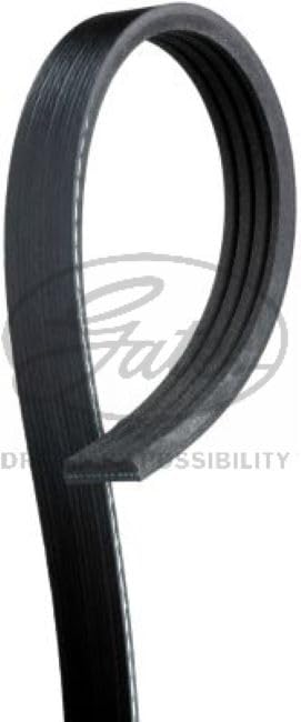 Gates Banda de Accesorios K040378, Negro | Sustituye a 4K378 6455B2 773021 6534254 6534255 7644875 7644876 7758972 7765718 EJG-950 JK4-384 JK4-385 12. 540405558