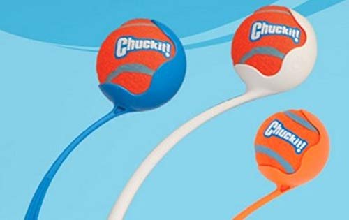 ChuckIt! Tennis Ball, Orange, Extra Large, 2-Pack
