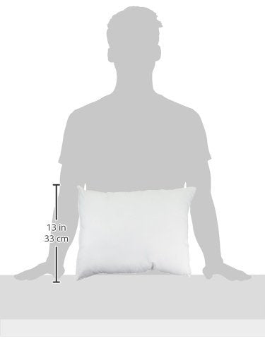 Pellon PPI12x16 Forma para almohada decorativa, 30.5 x 40.6 cm, blanco