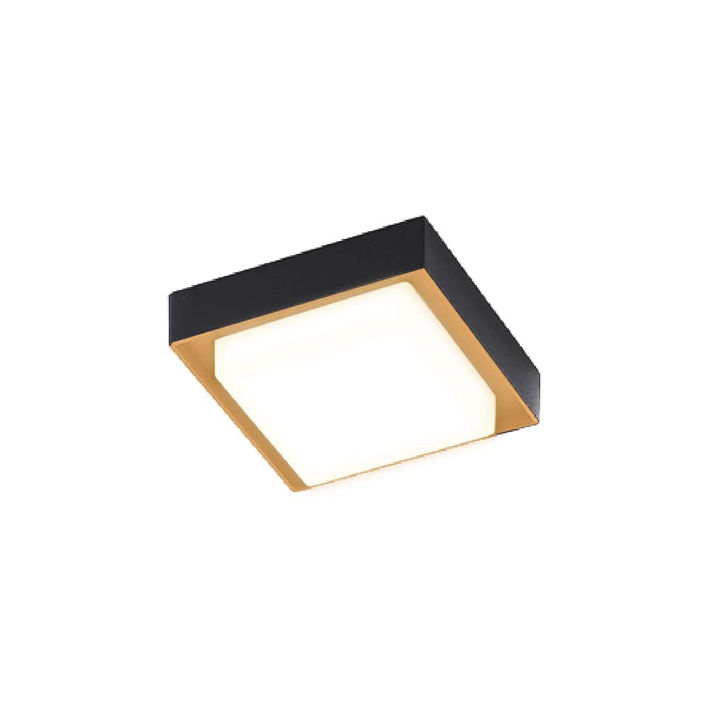 Tecnolite Lámpara Plafón LED de Sobreponer 15 W, Luz Suave Cálida, IP54, IK05, Interior y Exterior, LED integrado