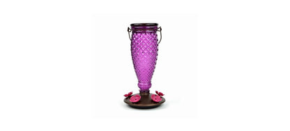 Perky-Pet 9102-1SR - Alimentador de colibrí de Vidrio con Relleno de Diamante Morado con Protectores de Abeja Integrados, decoración de jardín al Aire última intervensión, 24 onzas