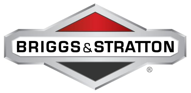 Briggs and Stratton 593217 Prefiltro, 1 Unidad (Paquete de 1), Verde