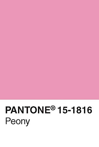 Pantone - Caja postal: 100 tarjetas postales (Pantone Color Chip, Art Postcards)