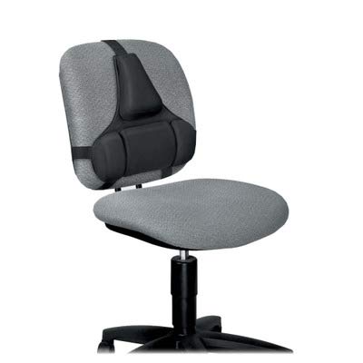 Fellowes 8037601 Serie profesional, Soporte para espalda con protección Microbian, Negro