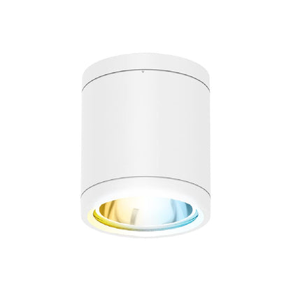 Tecnolite Lámpara Plafón LED de Sobreponer 15 W, Luz Blanca Configurable, IP65, IK08, Interior y Exterior, LED integrado