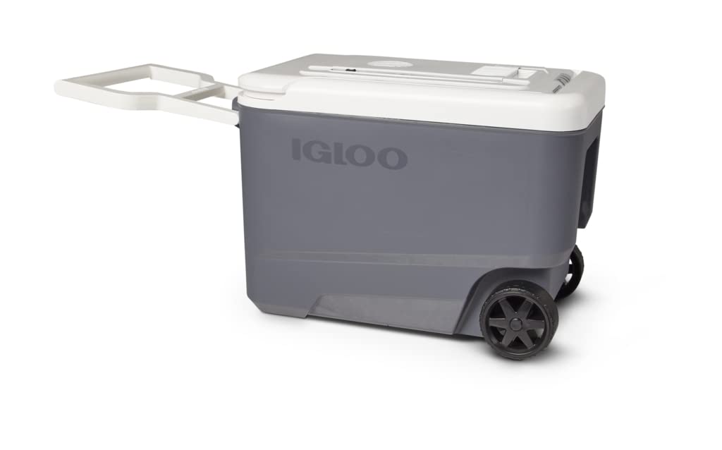 Igloo 35 QT versatemp Rolling versatemp enfriador de viaje sin hielo