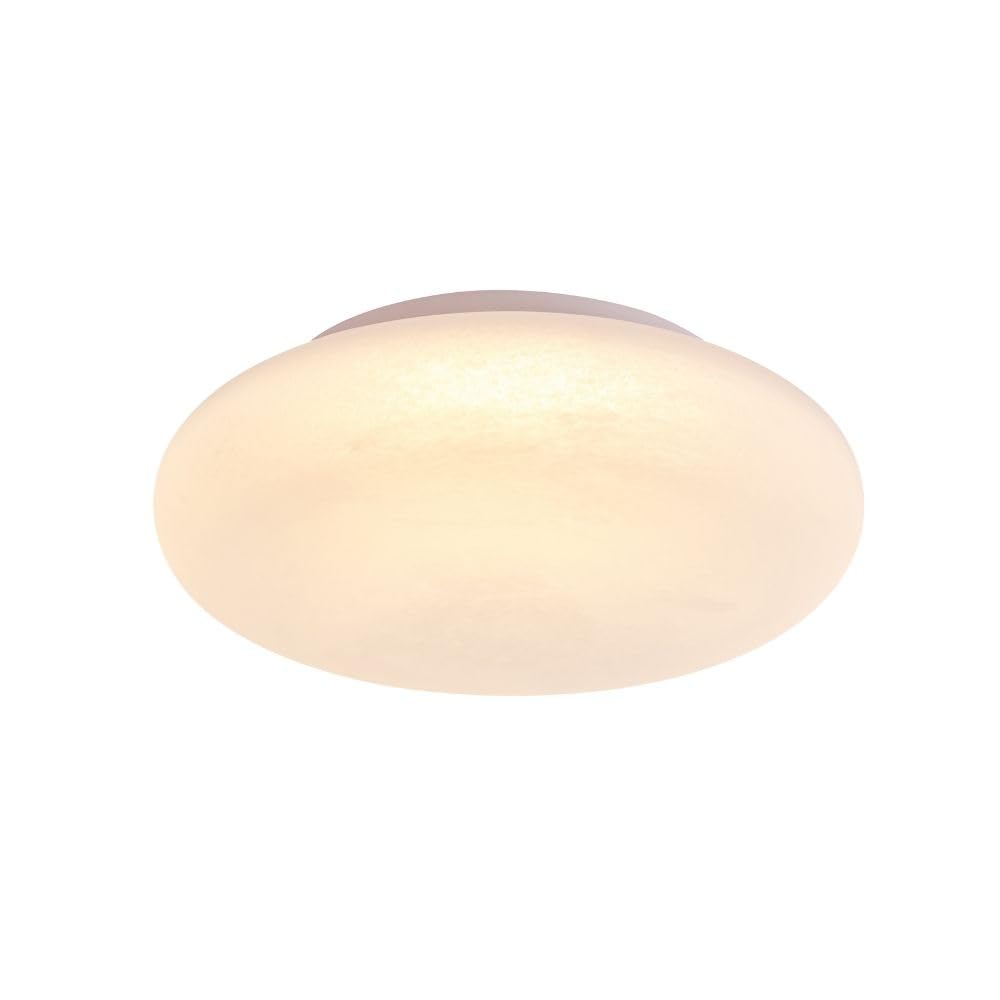 Tecnolite - Lámpara de Techo Plafón LED 27 W, Luz Blanca Ajustable, No atenuable