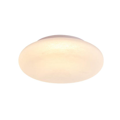 Tecnolite - Lámpara de Techo Plafón LED 27 W, Luz Blanca Ajustable, No atenuable