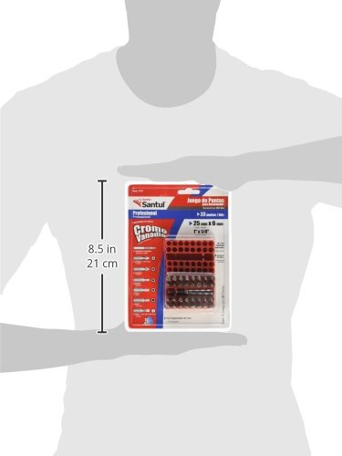 Santul 7477 Juego de 33 Piezas con Organizador para Desarmador 1"