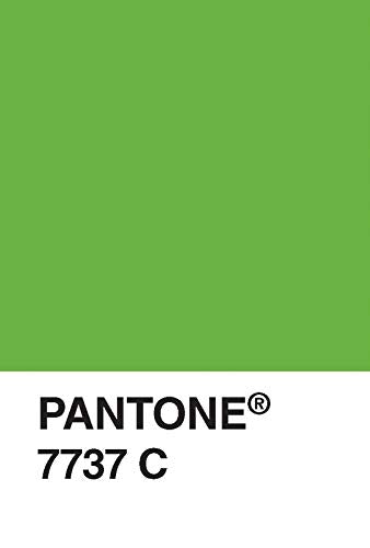 Pantone - Caja postal: 100 tarjetas postales (Pantone Color Chip, Art Postcards)