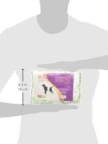 Fancy Pets Pañal para Perro Macho Tamaño Grande con 12 Piezas