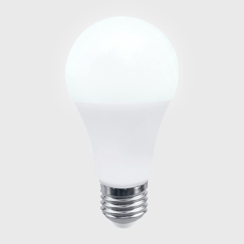 Tecnolite - Paquete de 10 Focos Ahorradores, Foco LED A19, Color Blanco 5 W, Base E27, 450 lumens, Luz de Día 6500 K, 100 - 240 V, Protegidos en Caja Individual