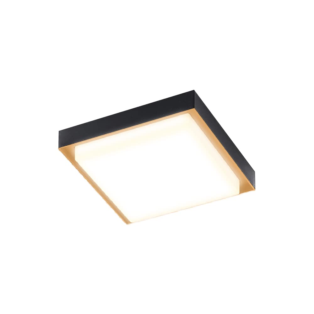 Tecnolite Lámpara LED Exterior para Sobreponer Luz Suave Cálida 3000 k Tecnolite