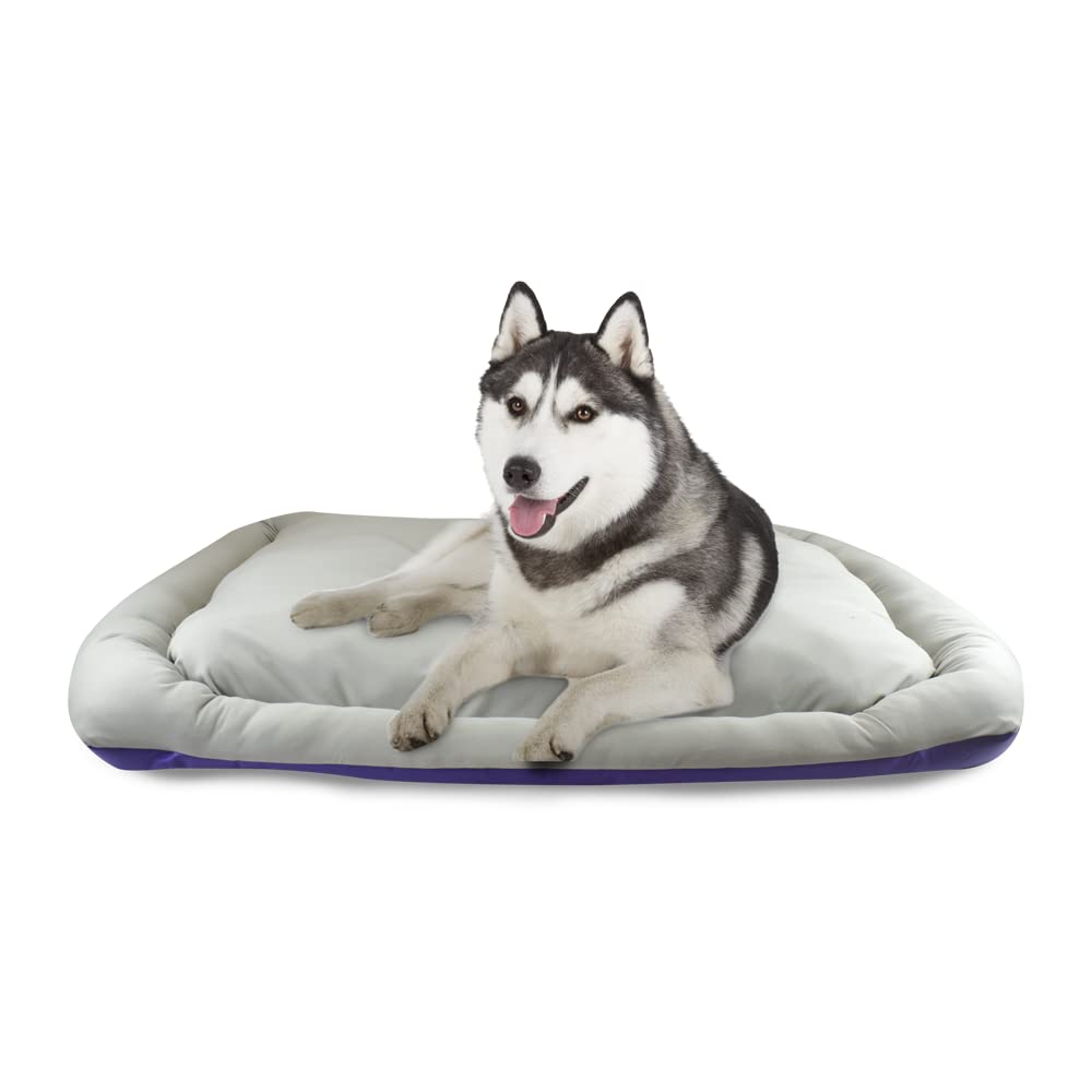 Fancy Pets Cama Rizzo Acolchada e Impermeable para Perro - MORADO