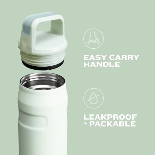 Stanley IceFlow - Botella de agua de 24 onzas, tapa giratoria de boca ancha, ligera y a prueba de fugas para viajes y deportes, acero inoxidable aislado, sin BPA, cítrico