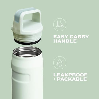 Stanley IceFlow - Botella de agua de 24 onzas, tapa giratoria de boca ancha, ligera y a prueba de fugas para viajes y deportes, acero inoxidable aislado, sin BPA, cítrico