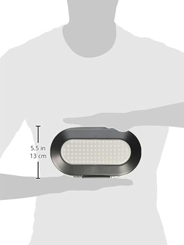 Master Lock 5900D Caja de Seguridad Portátil | 2-0.25 pulgadas de alto x 9-17/32 pulgadas de ancho x 4-0.9 pulgadas de profundidad, portátil seguro