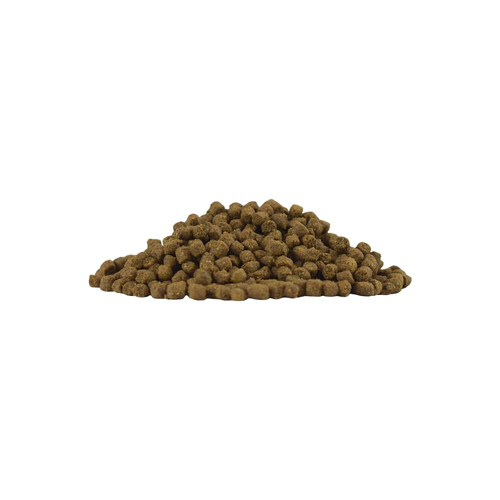RedKite Select Alimento para Erizos 800 g con Insectos Deshidratados y Vitaminas