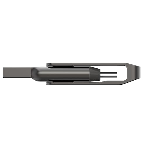 Lexar Unidad Dual JumpDrive D400 USB 3.1 Tipo C y Tipo A, hasta 130 MB/s de Lectura (LJDD400064G-BNQNU)