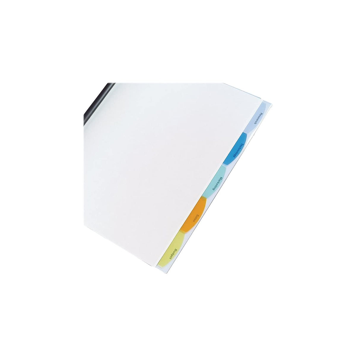 Wilson Jones W55766D - Cubierta para reporte de tablas de vista (5 pestañas, 20 hojas), transparente