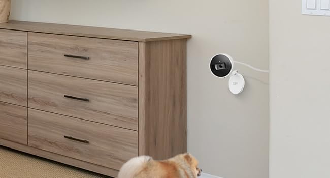 Tapo C125, Cámara de Seguridad con IA, 4MP, visión Nocturna, Audio de Dos vías, función de detección con IA incorporada, notificación de Alerta, Funciona con HomeKit, Alexa y Google