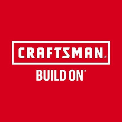 Craftsman V20 CMCVH001C1 - Aspiradora de Mano inalámbrica, 45 CFM, Sistema de filtración de 2 etapas con Filtro, batería y Cargador Incluido
