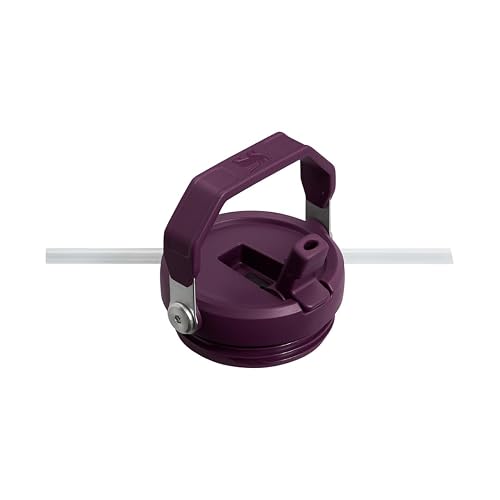 Termo Stanley IceFlow FlipStraw Tumbler 887ml - Stanley Termo de acero inoxidable con popote abatible