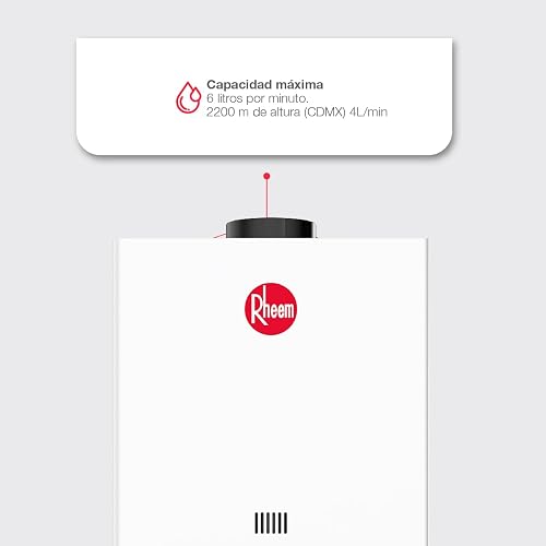 Rheem Essentials Calentador de agua instantáneo a gas 6 L/Min Gas LP 1 Servicio RHE-CHN06P
