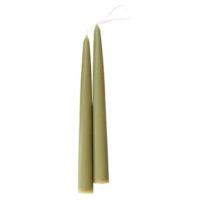 Raíz 12-Inch Tradicional Bayberry perfumado Velas, Dorado, 22,86cm, 1