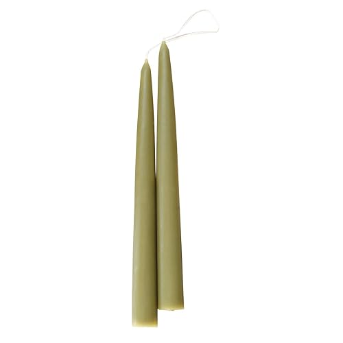 Raíz 12-Inch Tradicional Bayberry perfumado Velas, Dorado, 22,86cm, 1