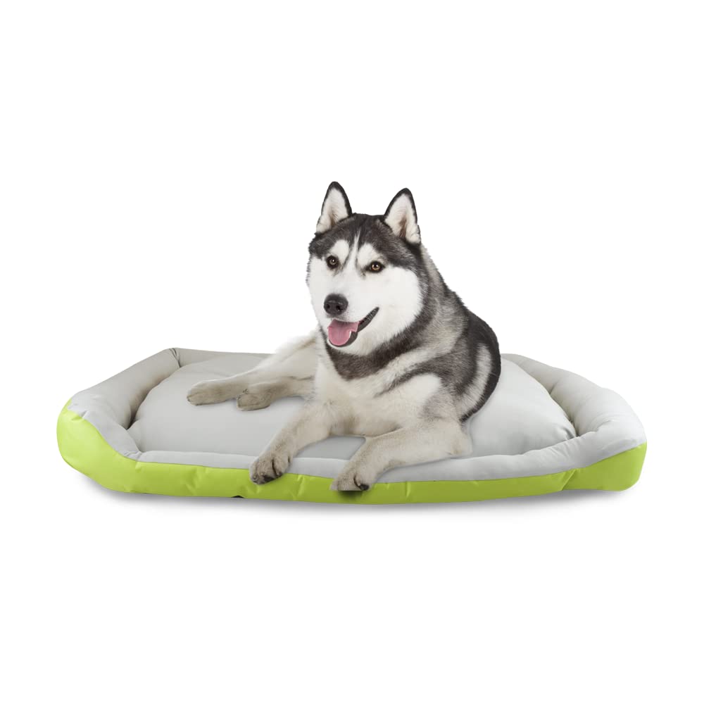 Fancy Pets Cama Rizzo Acolchada e Impermeable para Perro - VERDE