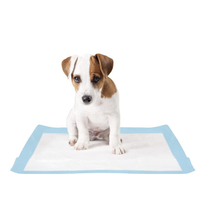 Fancy Pets Tapete Entrenador Soft Pad para Perros, Súper Absorbente - 30PZ