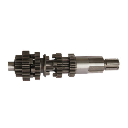 Conjunto Primario Traseromision Italika Compatible con 250SZ, DT200 SPORT, DT250 SPORT, FIERA 200, FIERA 250, FT200, FT200 AMARILLA, FT200 GTS, FT200 TS, FT250, FT250 GTS, FT250 GTS GPS, FT250 TS y má