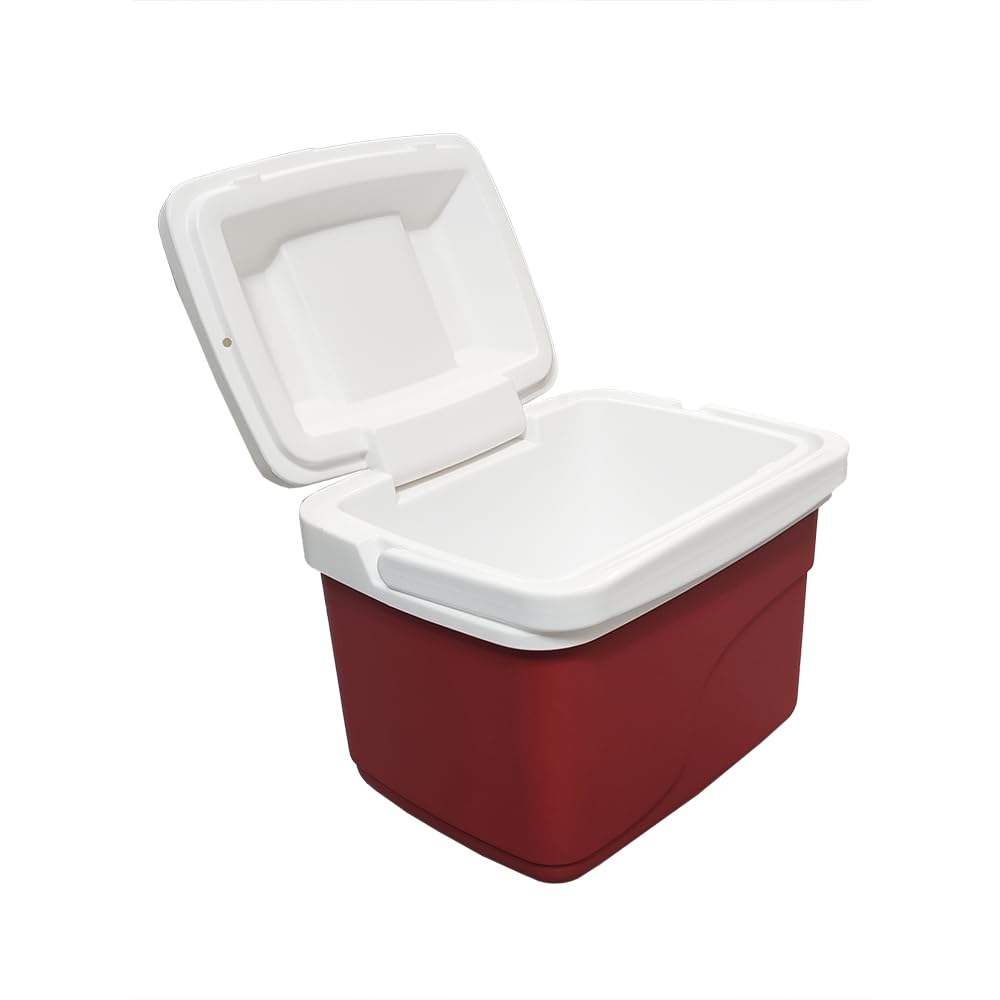 Estra Hielera Rígida 4.5L Individual | Escuela, Oficina y Gimnasio | 21x27x21 cm (4.75 QT), libre de BPA, cabe en mochila, casillero o auto, manija ergonómica