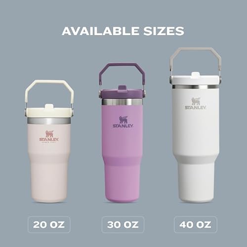 Stanley IceFlow - Vaso de acero inoxidable – Botella de agua aislada al aspiradora para el hogar, la oficina o el automóvil, taza reutilizable con popote resistente a fugas, tapa fría durante 12 horas o