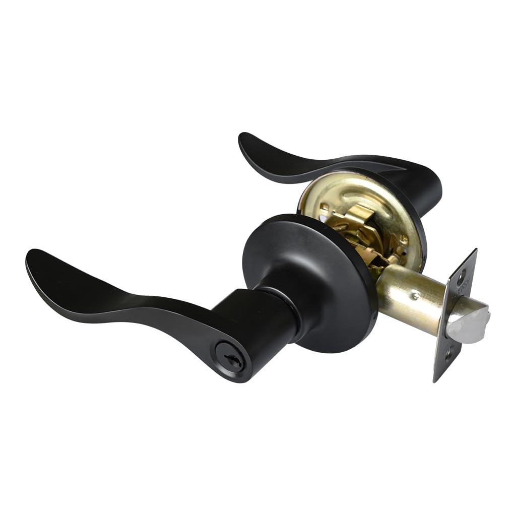 Dexter 5822 Cerradura Manija Mercurio 35-45mm con Llave, Negro