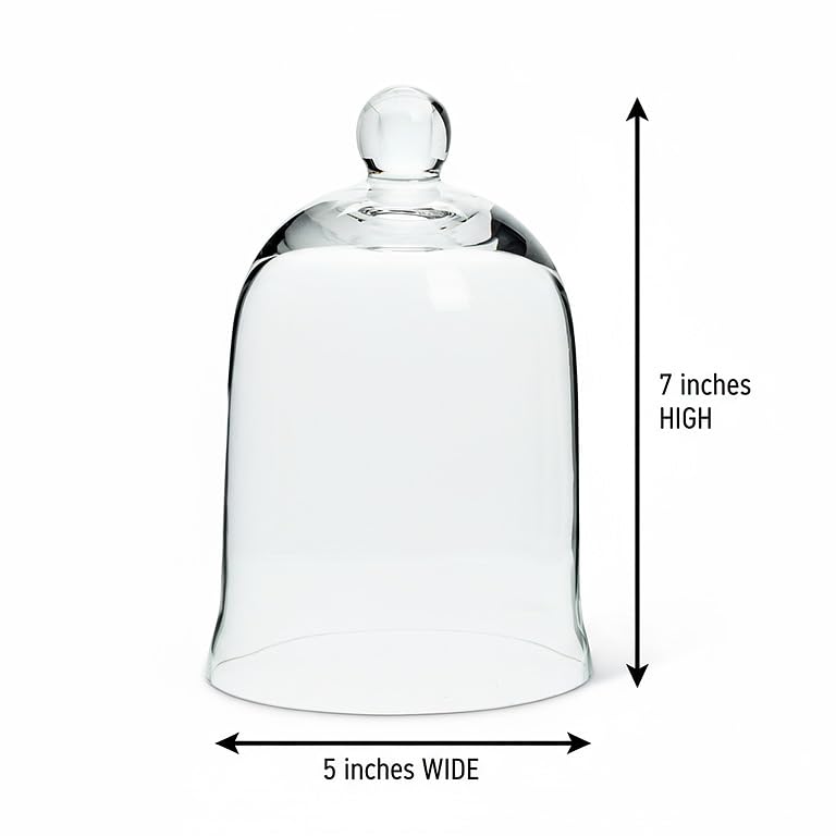 Abbott Collection 27-Carolyn - Cloche de Vidrio en Forma de Campana, Transparente (7 Pulgadas de Alto)
