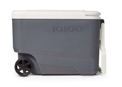 Igloo 35 QT versatemp Rolling versatemp enfriador de viaje sin hielo