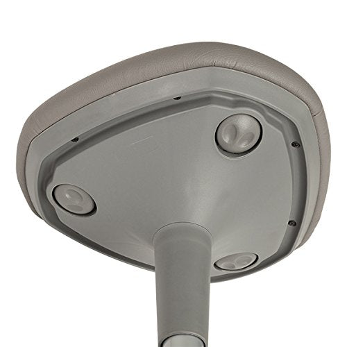 Learnitude Taburete de aprendizaje activo con altura ajustable, color gris, gris