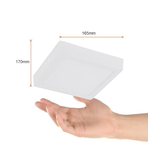 Tecnolite - Lámpara Plafón LED Techo 12 W, Luz Suave Cálida, Interiores, No atenuable, LED integrado