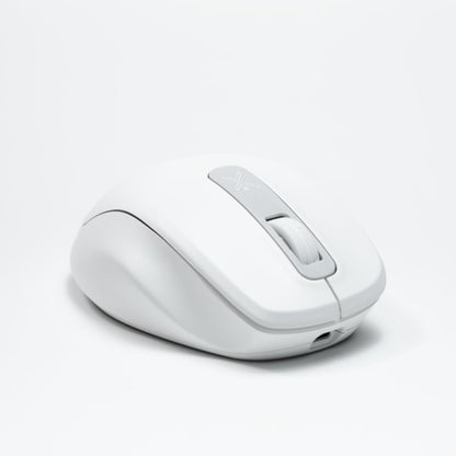 PERFECTCHOICE Mouse Inalámbrico Recargable Click Silencioso Lumiere Pro