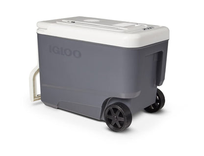 Igloo 35 QT versatemp Rolling versatemp enfriador de viaje sin hielo